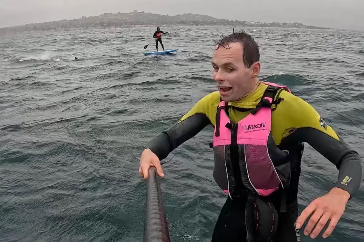 foiler poursuivi par un requin californie