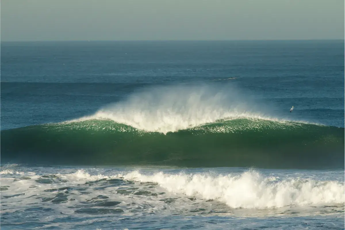 Tragédie à San Francisco : un surfeur décède dans une houle exceptionnelle à Ocean Beach