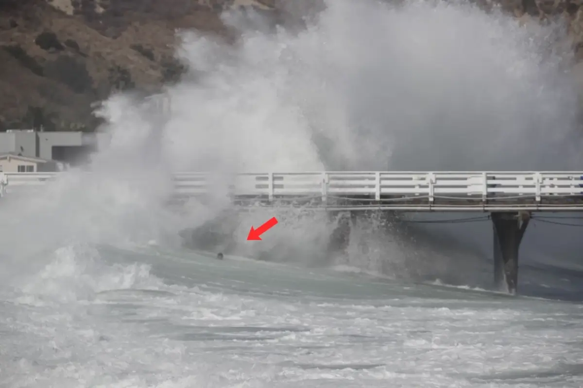 Un swell historique secoue la Californie : Hunter Jones frôle le drame à Malibu