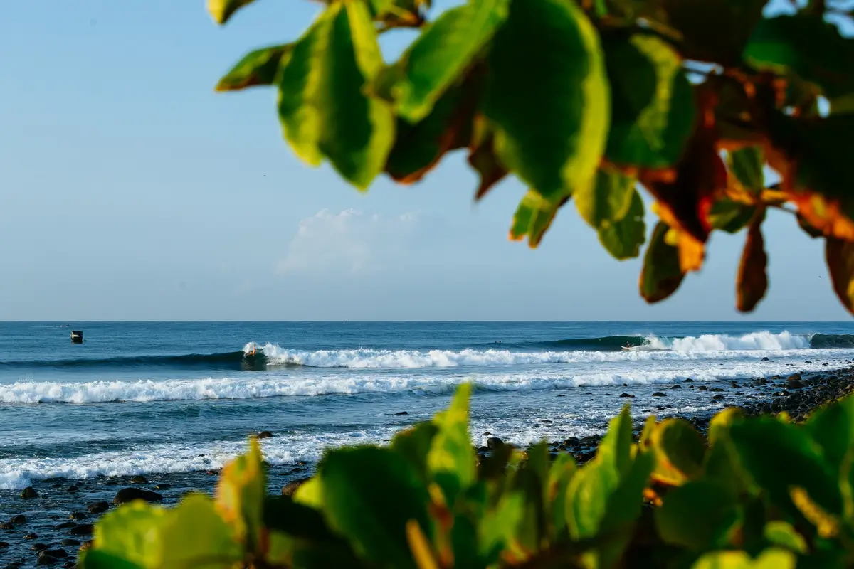 WSL 2026 : Ce que la WSL ne vous dit pas sur l’enfer tropical du Salvador Pro
