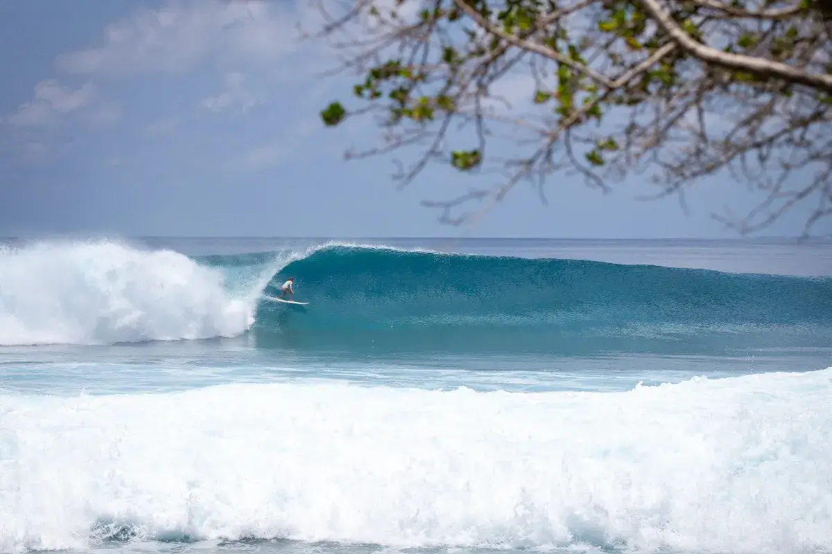 Trip surf aux Maldives, le guide complet
