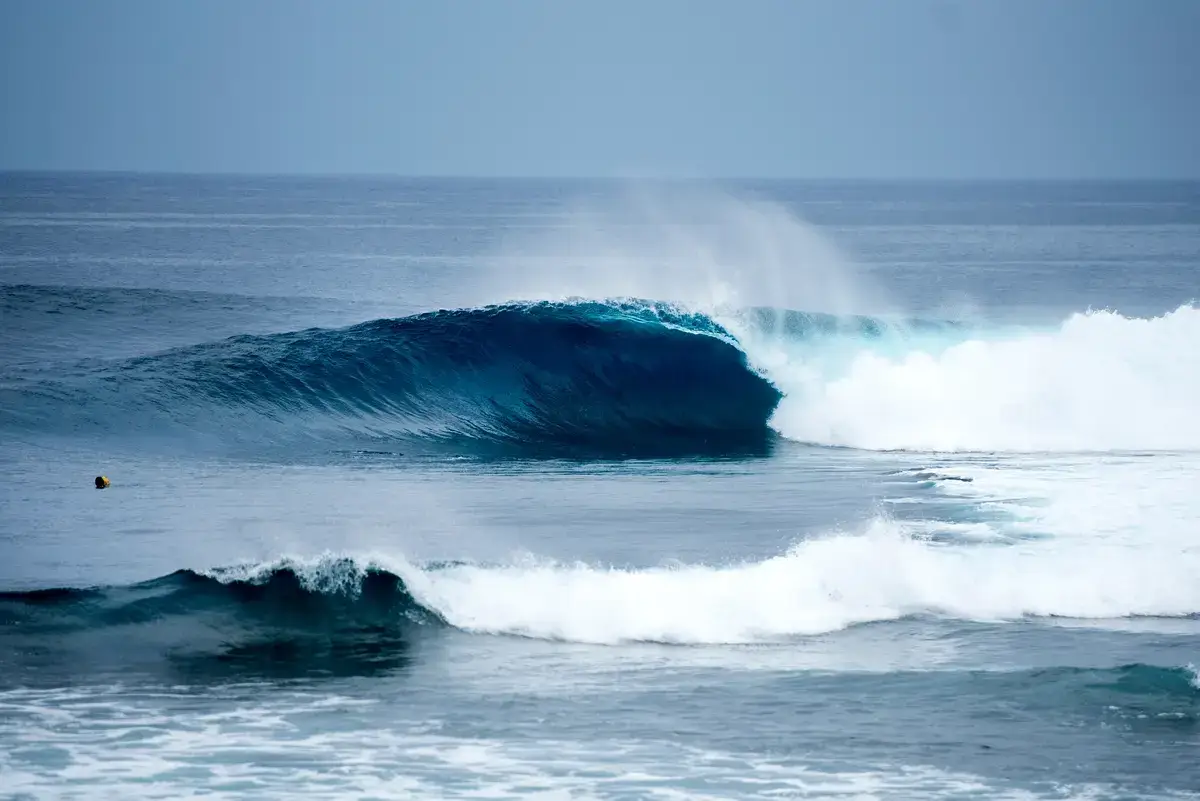 Calendrier modifié en plein tour : la WSL a-t-elle vraiment tous les droits ?