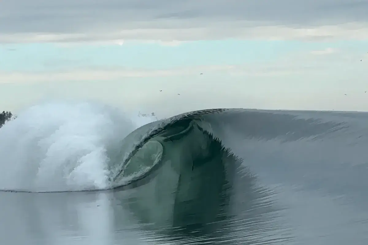 Ben Gravy surfe une vague de ferry d’une perfection irréelle
